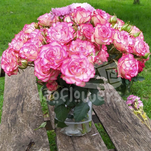 candy blossoms*