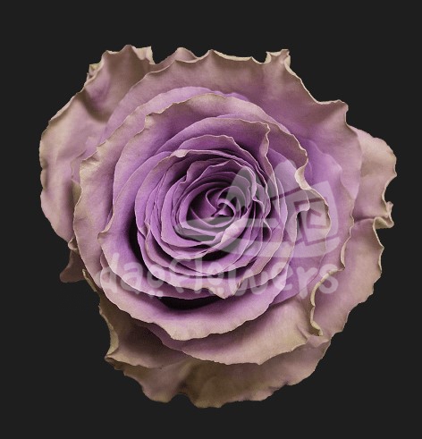 byzantine