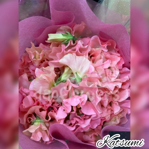 katsumi peach